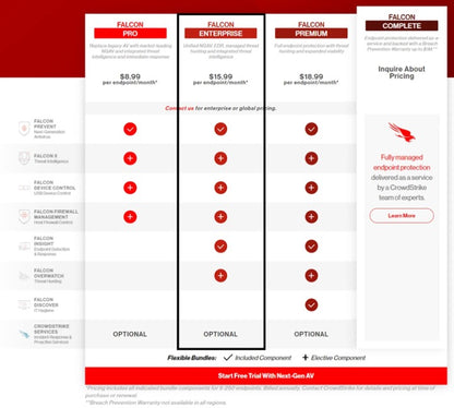 Crowdstrike Falcon Enterprise for Business