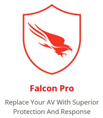 CrowdStrike Falcon® Endpoint Protection Pro for Business