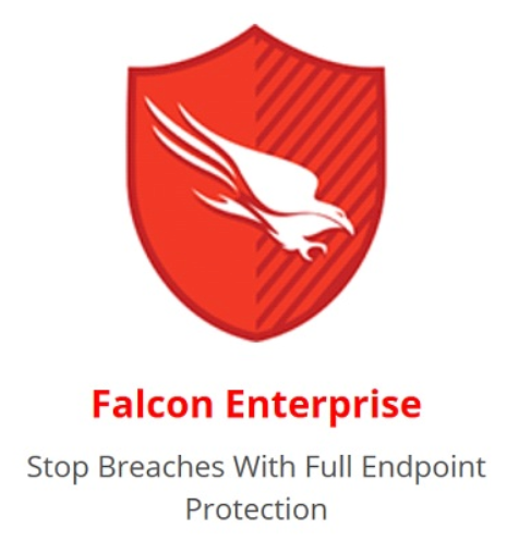 Crowdstrike Falcon Enterprise for Business – Defensive Networks, LLC.