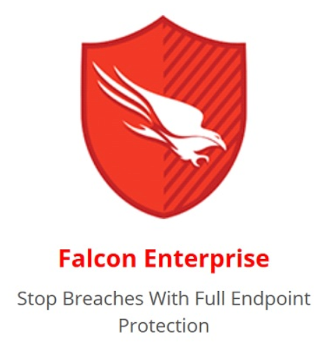 Crowdstrike Falcon Enterprise for Business